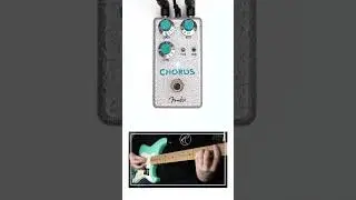 Fender - Hammertone Chorus  #Fender #choruspedal #pedalboard