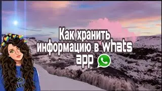 Как хранить информацию в WhatsApp