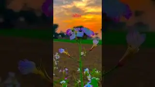 Video editing effect before ↔️ after view 🖼️#shorts #youtubeshorts