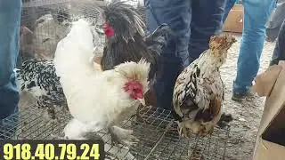 бозори душанбе калхози расия