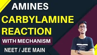 Amine -07 | Carbylamine reaction | (NEET / JEE MAIN)