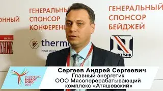 Сергеев Андрей Сергеевич, Главный энергетик компании ООО МК «Атяшевский»