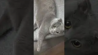 Если я тебе не нравлюсь, то это не моя проблема.