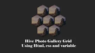Hive Photo Gallery Grid Using Html, CSS and Variable