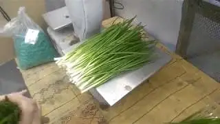 Лук как бизнес. Лук на зелень.  Фасовка лука! КАК ЗАРАБОТАТЬ НА ЛУКЕ