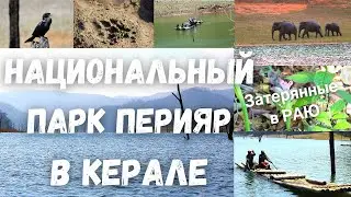 Национальный парк и заповедник Перияр | Керала | Дикая природа Индии | Поход по джунглям
