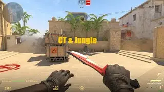 CT & Jungle smoke #cs2