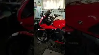 тюнинг suzuki SV 1000 s продолжение 2022 год