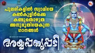 പുലരികളിൽ സ്വാമിയേ കൺകുളിർക്കെ കണ്ടുതൊഴുത അനുഭൂതിയേകുന്നഗാനങ്ങൾ|Ayyappa Songs|Hindu Devotional Songs