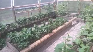 Солнечный вегетарий (теплица) своими руками (Часть 3)