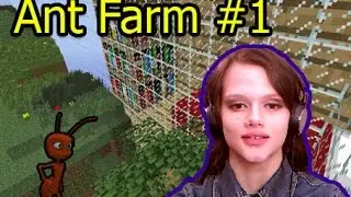 Ant Farm(муравейник)#1 Изучаем территорию
