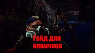 Гайд для новичков - Тарков