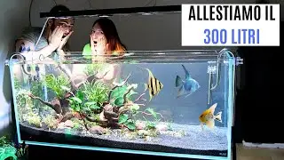 Allestiamo l'acquario da 300 litri nell'ufficio di Acquariopoli! 💦