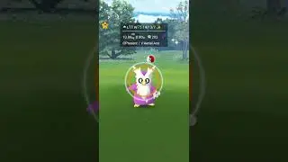unhone Pokemon shiny hunt
