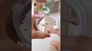 New Vegetable Cutter Review #shorts #honestreview#youtube #trending #shorts #food#video #cake #asmr