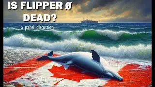 Is Flipper0 Dead?