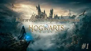 Hogwarts Legacy 