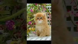 подожди не пролистать #топ