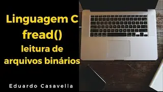 fread Reading binary file in C language