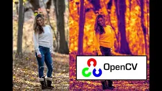 Python OpenCV Webcam With Predator Vision!