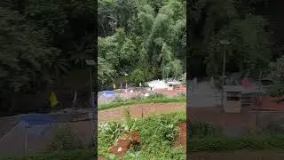 ഏഴരക്കുണ്ട് Water Falls #shorts