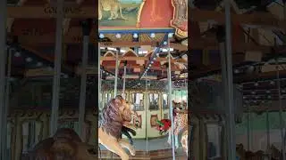 Carousel at Hogle Zoo