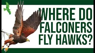 How to find land to fly your Hawks