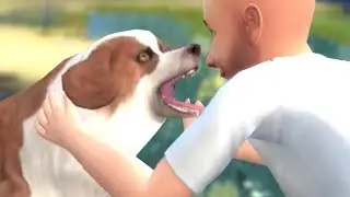 КАК ПРИРУЧИТЬ СОБАКУ В SIMS 4