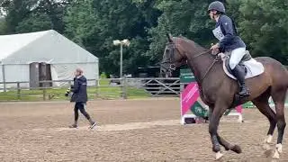Ex racehorse Evron qualifies for Badminton Grassroots Championships 2025