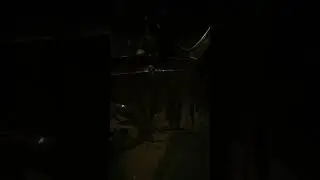 жига зверь