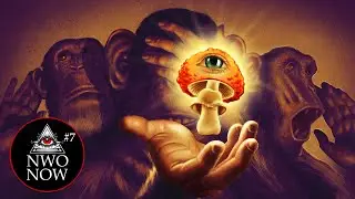 NWONOW #7 Drugs and Magic