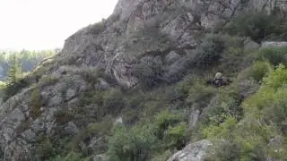 Po gornoj trope