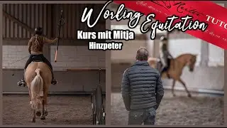Einfache Wechsel sind garnicht so einfach! Working Equitation mit Mitja Hinzpeter // Reitertutorials