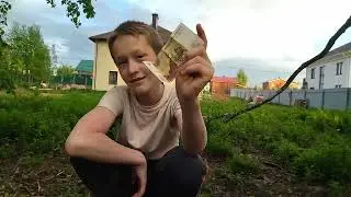 28 июля 2023 г.