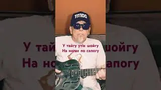 У тайгу утік шой гу, на ногах по сoпогу