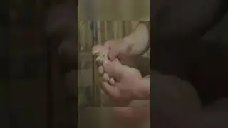 my young bully soles