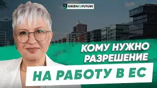 Гражданство Европейского союза, виза или Blue Card? Все о легализации для работы в ЕС