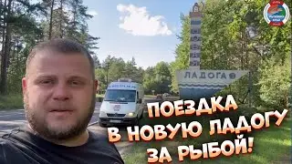 Поездка в новую Ладогу за рыбой