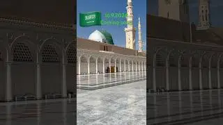 We Attended the World’s Largest Mawlid Celebration #shortvideo  #shorts