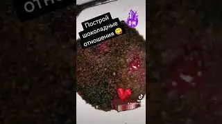 Шоколадные Наслаждения Утра Превращаются В Многослойное Удовольствие Вечера 😋