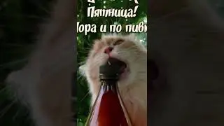 #норм монтаж? лень монтировать