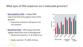 Genomes, Part I
