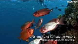 Die Siegerfotos aus dem Leserfoto-Voting Mai 2012