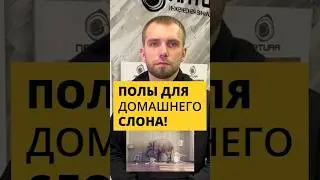 А кто живет у вас дома?