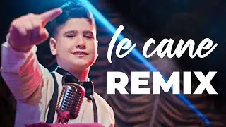 DEHAMCAN - Le cane (REMiX) - Dj Yusuf ŞAHİN