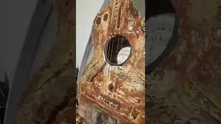 Cicada guitar