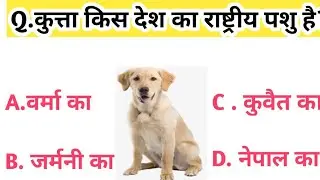 Gk||Gk in hindi||gernal knowledge||Gk question|Gk today|Gk facts question||MS GK Adda||gk adda