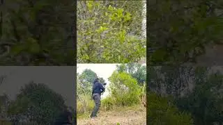 Movimiento cinematográfico con Gimbal Zhiyun Weebill 3S