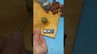 ГЕНИАЛЬНЫЙ ОРЕХОКОЛ🔥