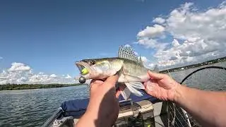 Хищник на Оби Активный жор 02-03.09.2023. Спиннинг Major Craft DODGER. Катушка Shimano RARENIUM 4000